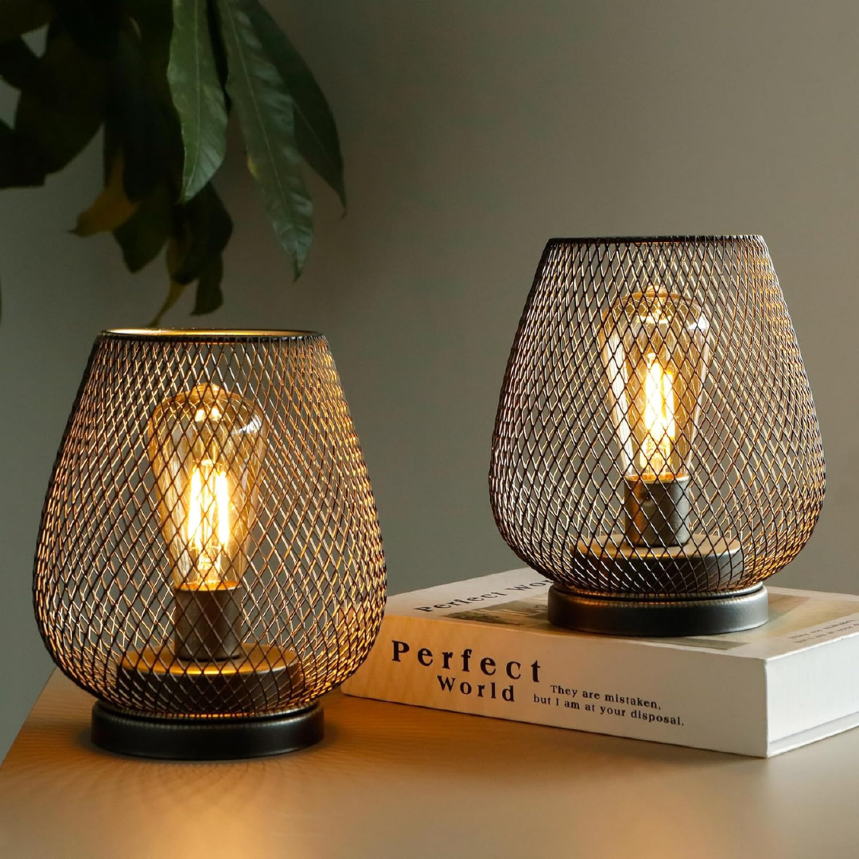 AMBIENTIFY Vira – The Light Supplier NL