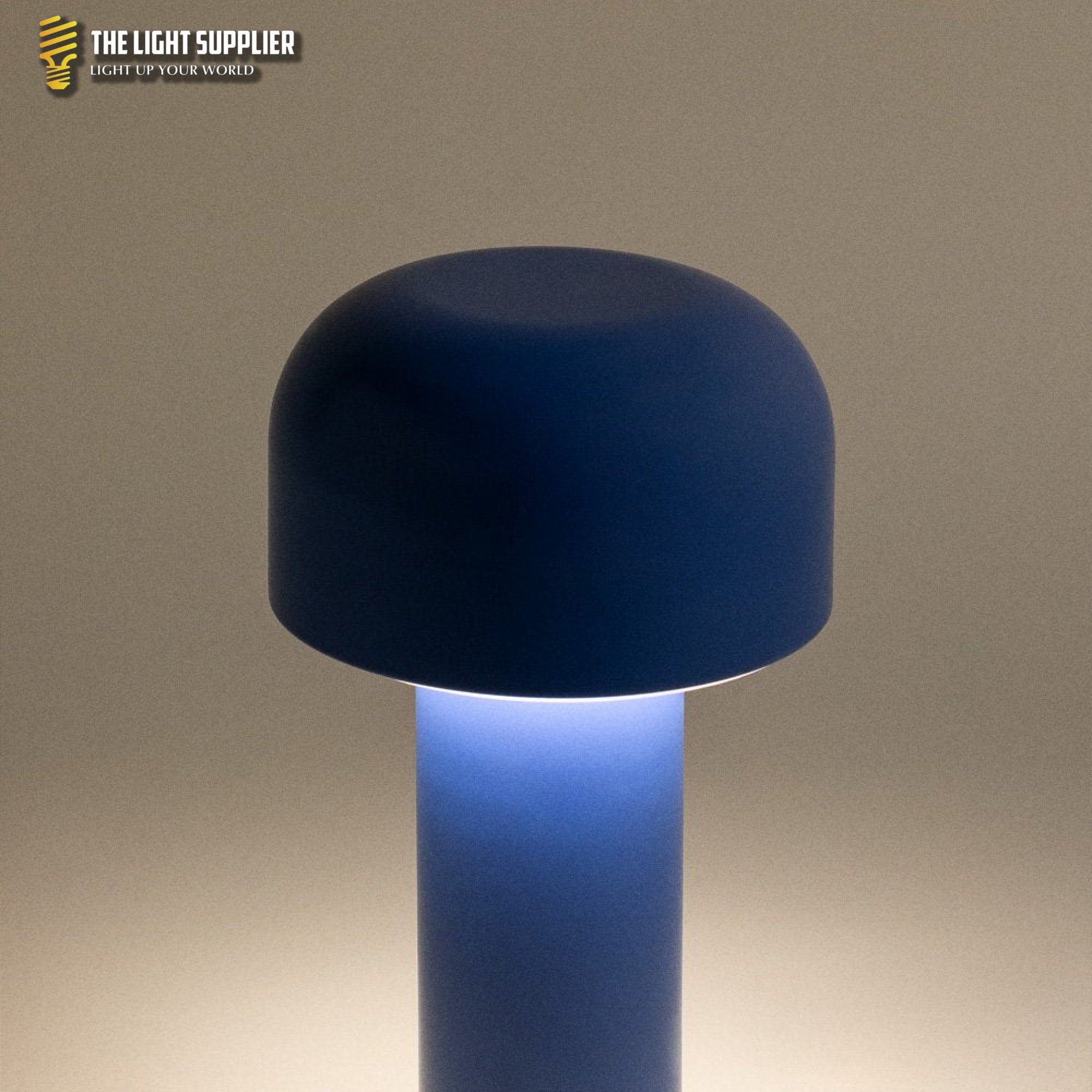 Loentia Draadloze Led Metalen Tafellamp
