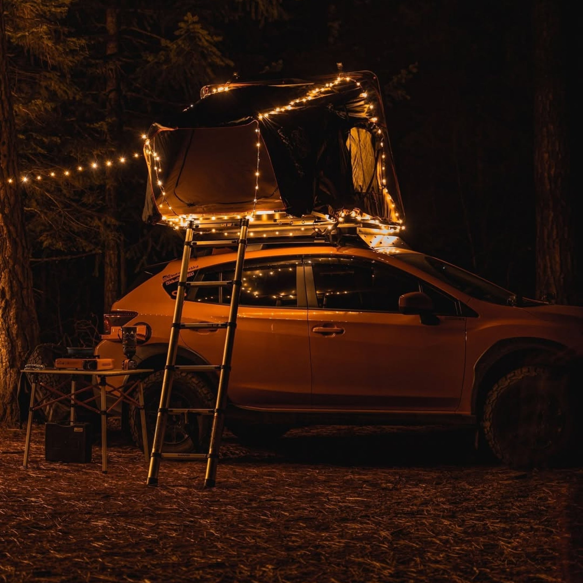 CAMPIFY String Pro – The Light Supplier NL