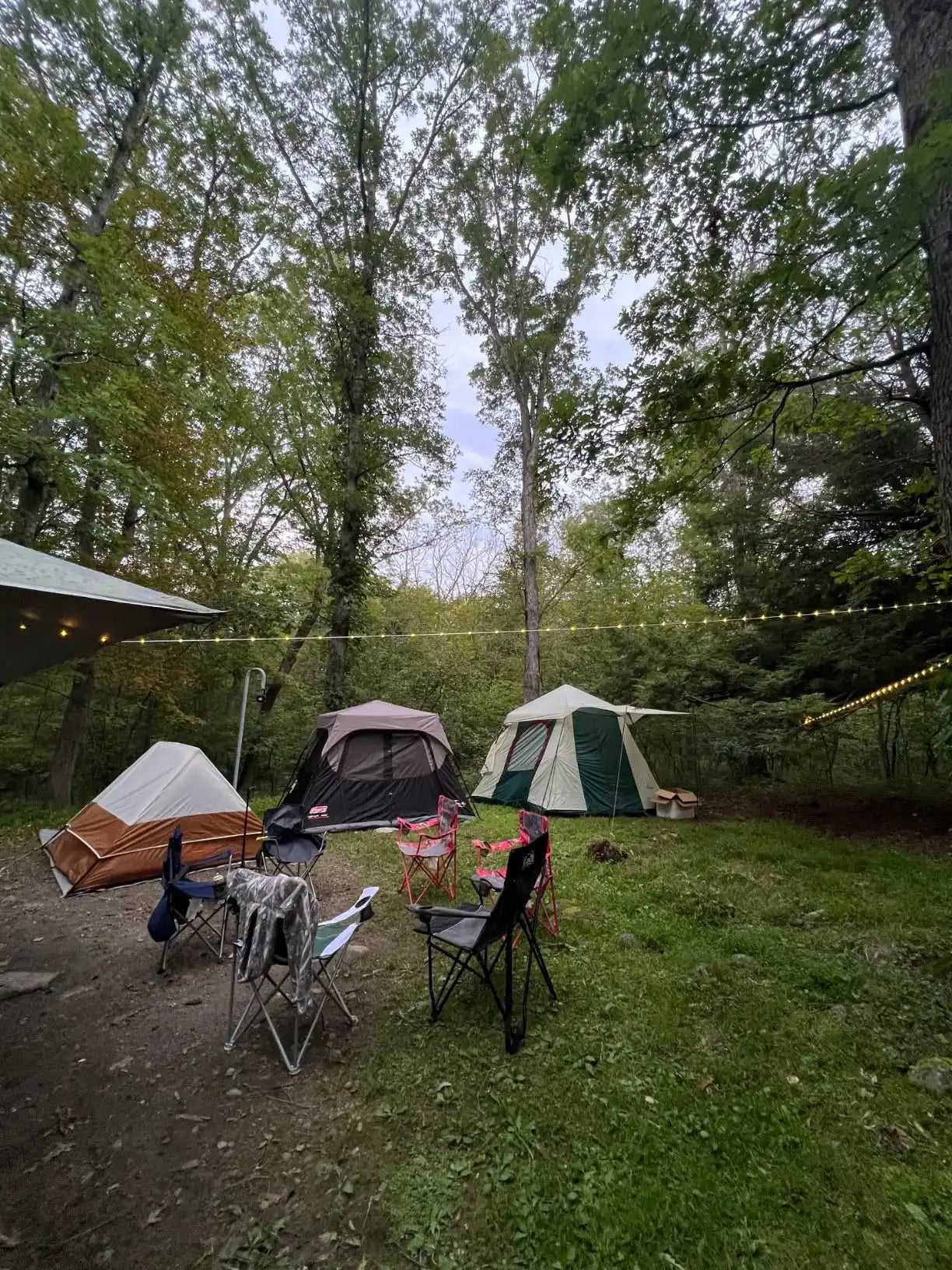 A cluster of three tents and several camping chairs in a wooded area, illuminated by string lights.