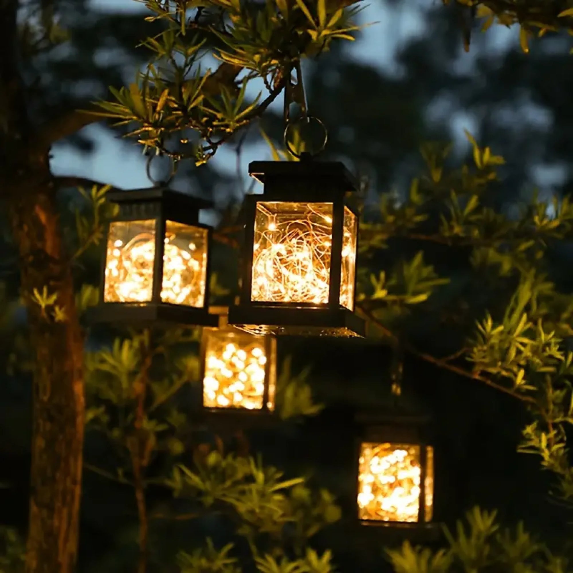 SOLARIFY Cube - Lamps