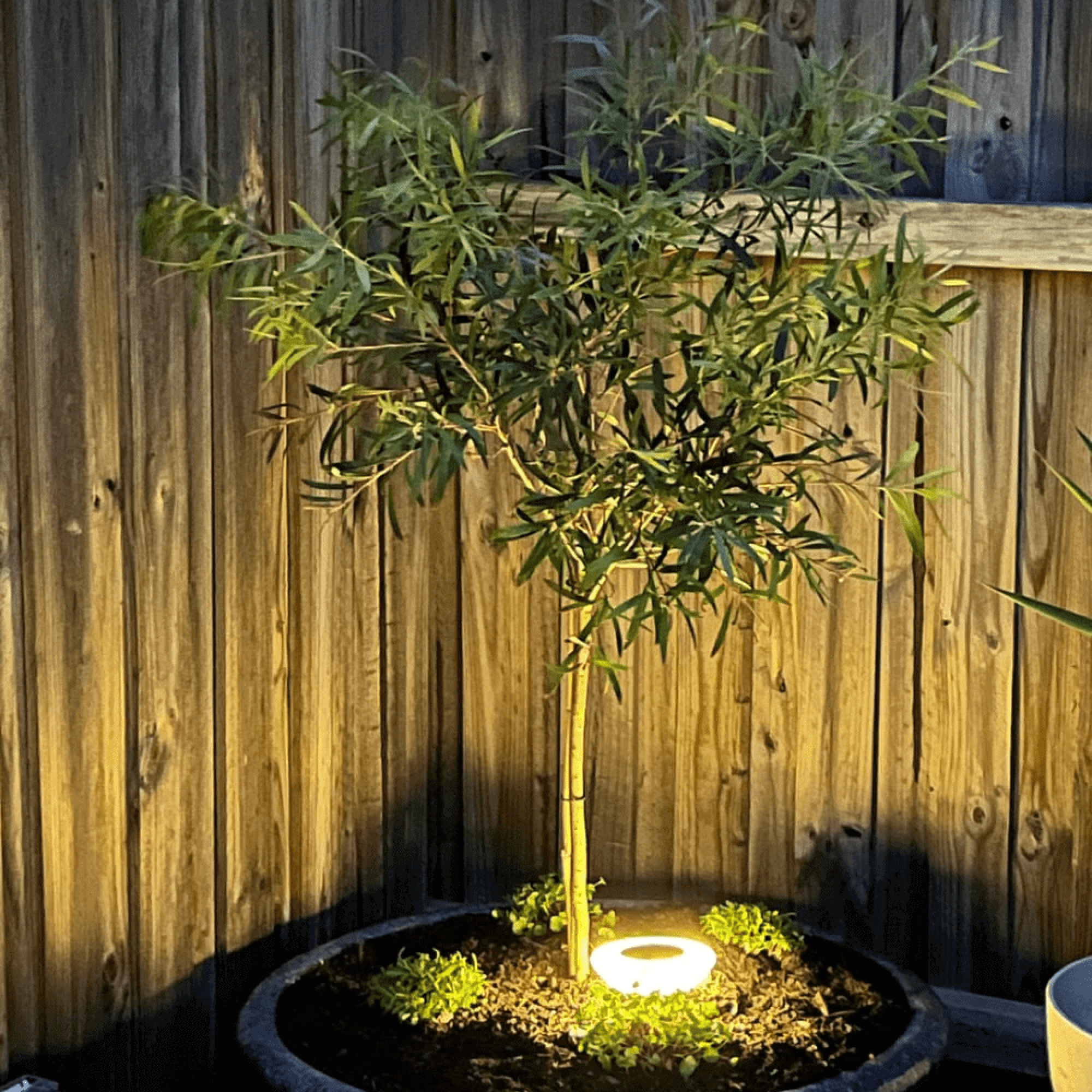 Solartitan Solar Ground Lights-5