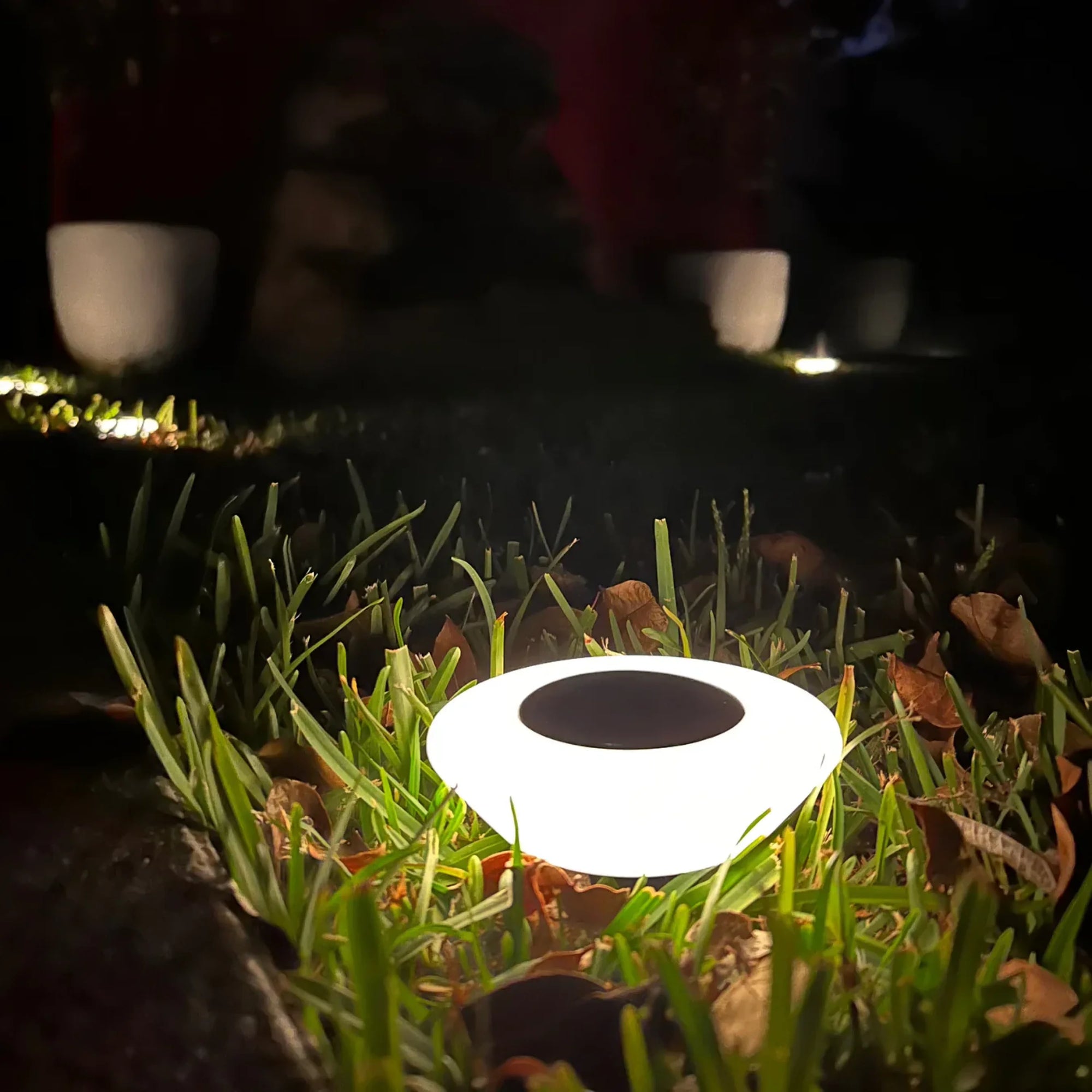 SOLARIFY Spot